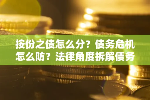武汉按份之债怎么分？债务危机怎么防？法律角度拆解债务分配与风险自保指南