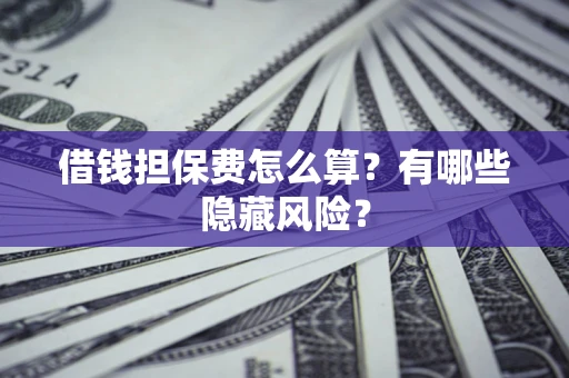 武汉借钱担保费怎么算？有哪些隐藏风险？