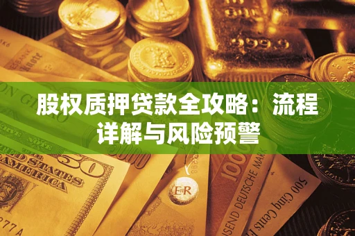 武汉股权质押贷款全攻略：流程详解与风险预警