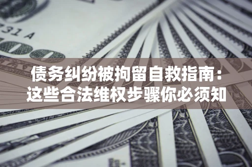 武汉债务纠纷被拘留自救指南：这些合法维权步骤你必须知道！