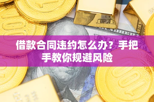 武汉借款合同违约怎么办？手把手教你规避风险