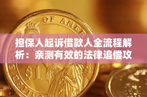 武汉担保人起诉借款人全流程解析：亲测有效的法律追偿攻略
