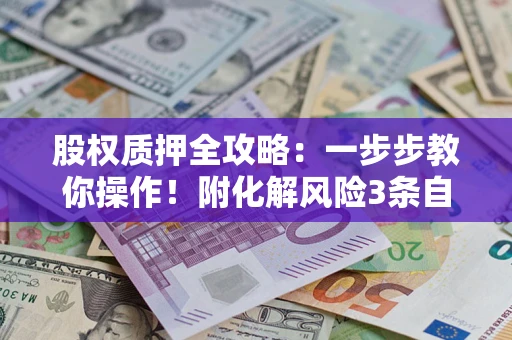 武汉股权质押全攻略：一步步教你操作！附化解风险3条自救法则