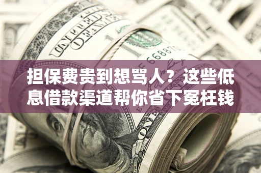 武汉担保费贵到想骂人？这些低息借款渠道帮你省下冤枉钱