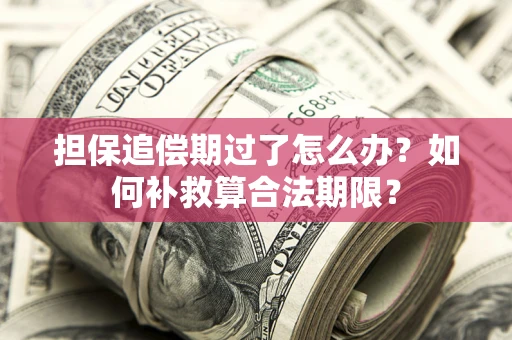 武汉担保追偿期过了怎么办？如何补救算合法期限？