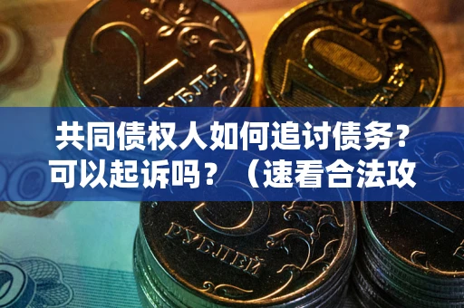 武汉共同债权人如何追讨债务？可以起诉吗？（速看合法攻略）