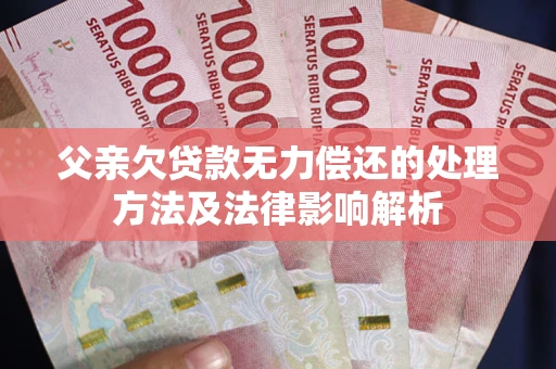 武汉父亲欠贷款无力偿还的处理方法及法律影响解析