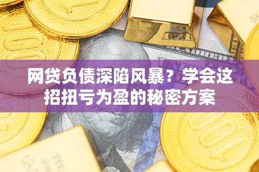 武汉网贷负债深陷风暴？学会这招扭亏为盈的秘密方案
