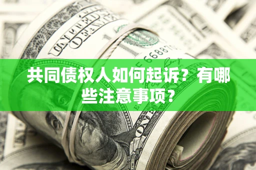 武汉共同债权人如何起诉？有哪些注意事项？